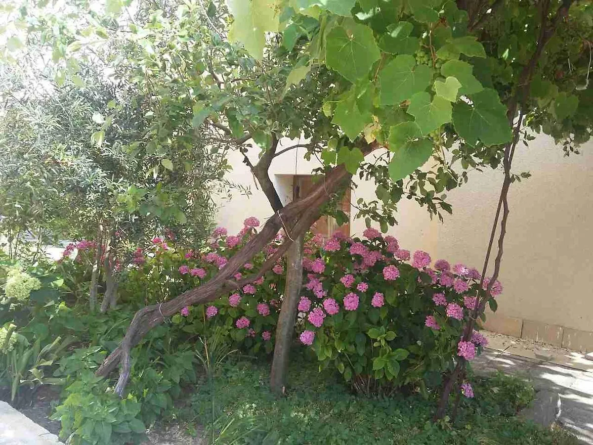 Guest House Adriya Primorsko